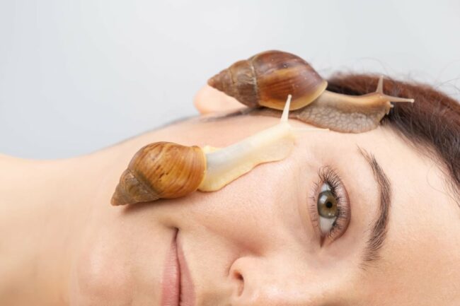 snail therpay benefits snail therapy Benefits