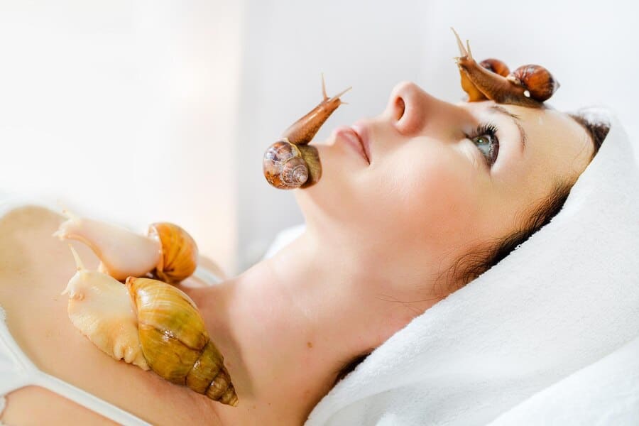 snail therapy