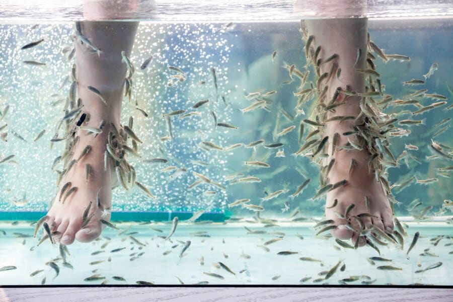 legs in fish massage