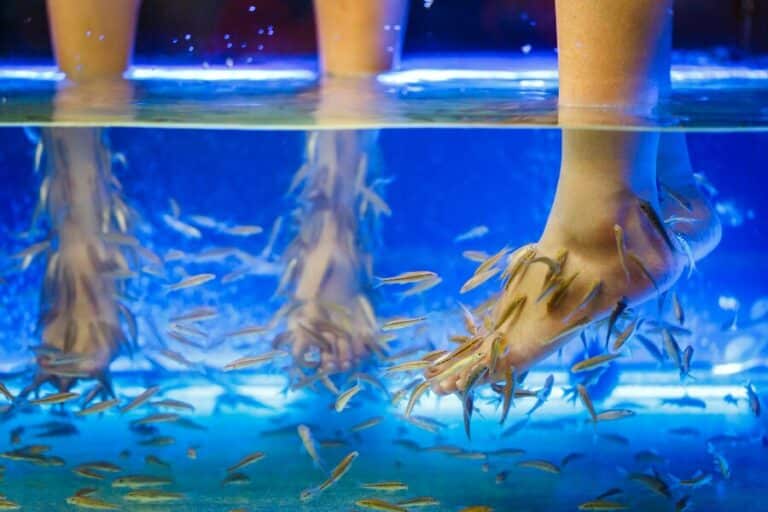 foots-fish-spa-pedicure-rufa-garra-treatment_38535-92