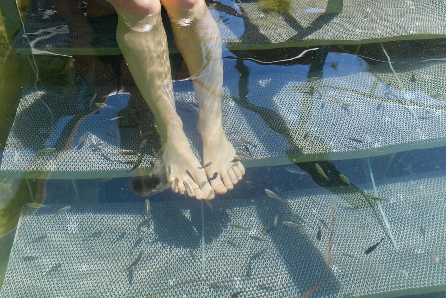 woman doing fish pedicure