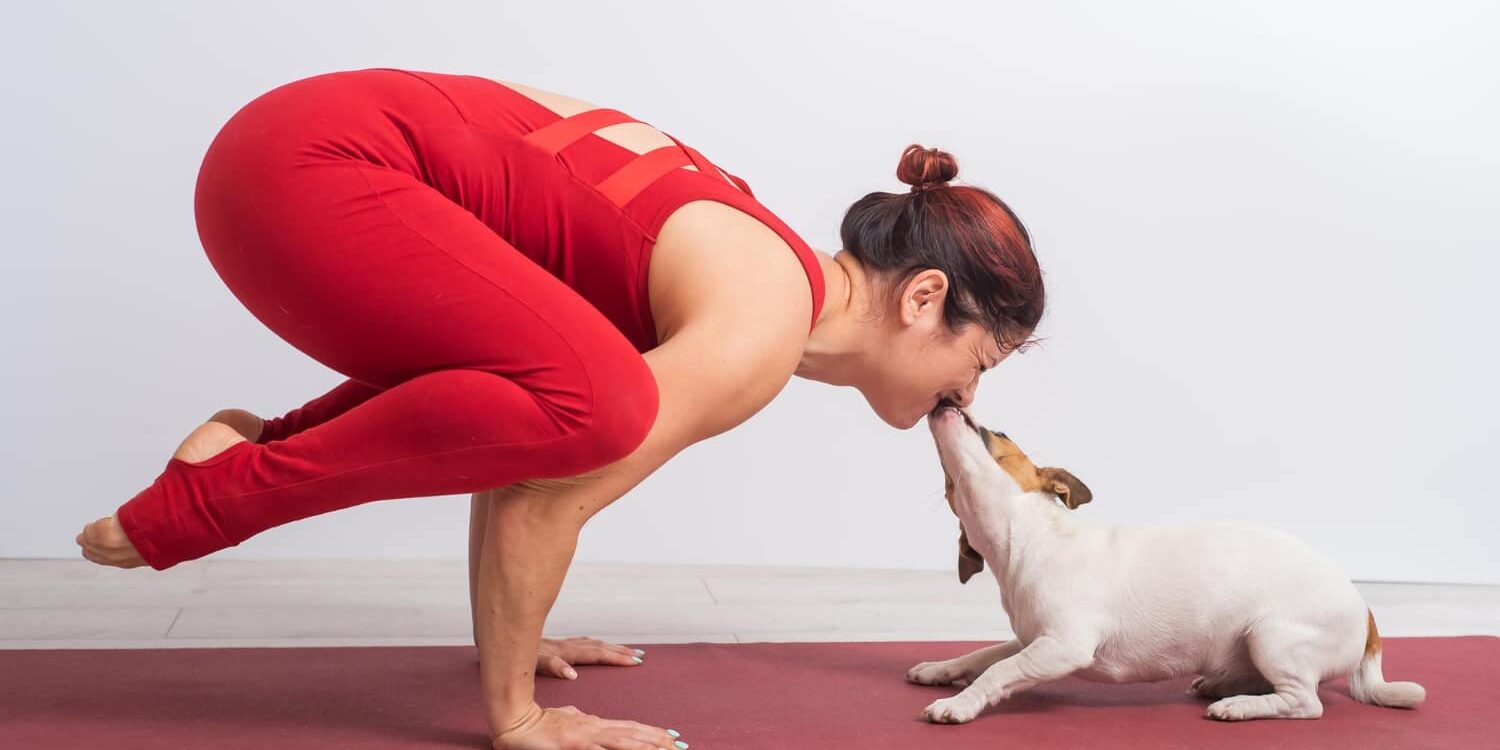 dog yoga benefits dog yoga benefits