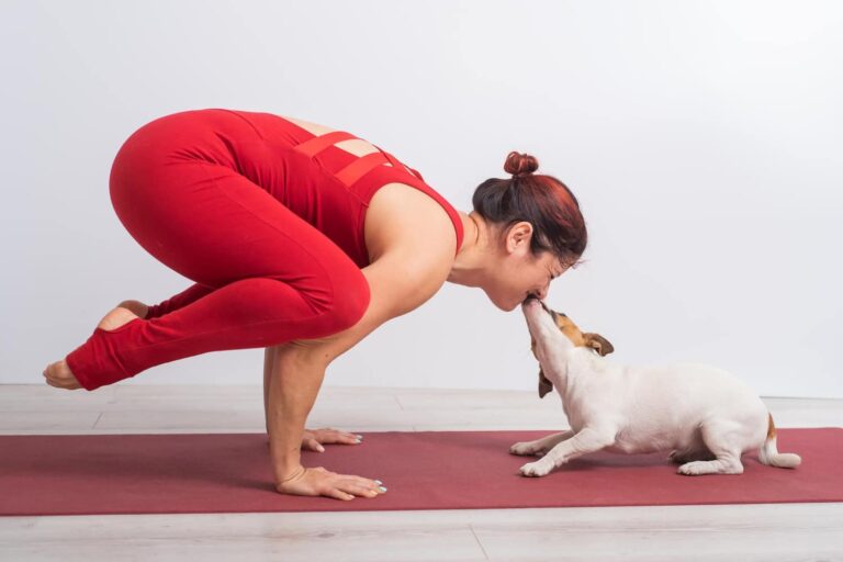 dog yoga benefits