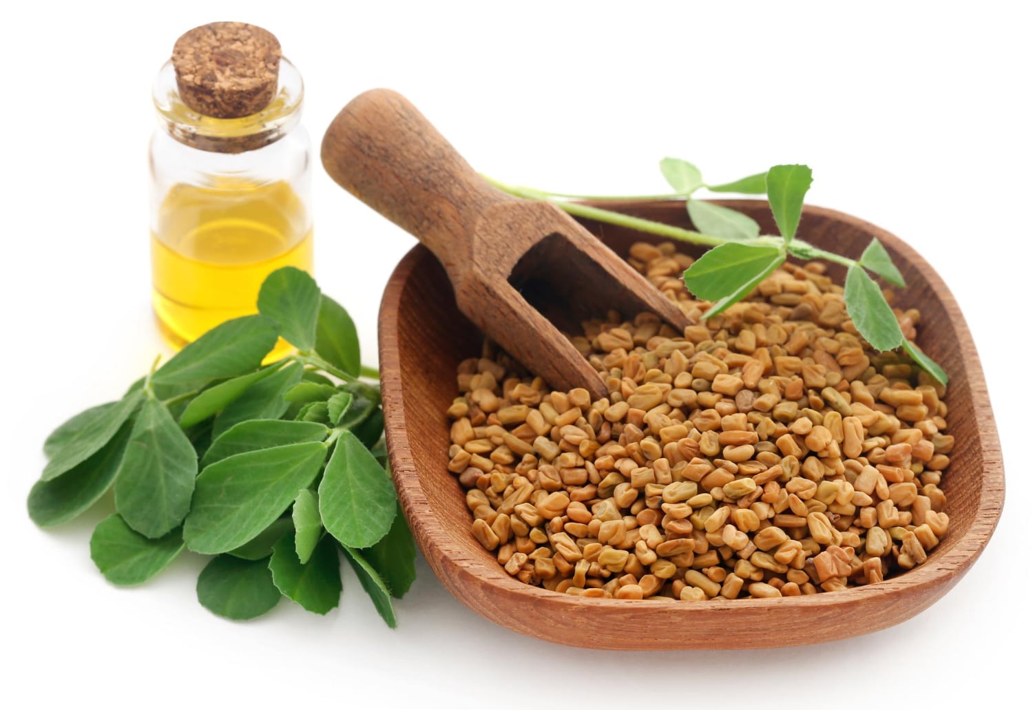 fenugreek oil 